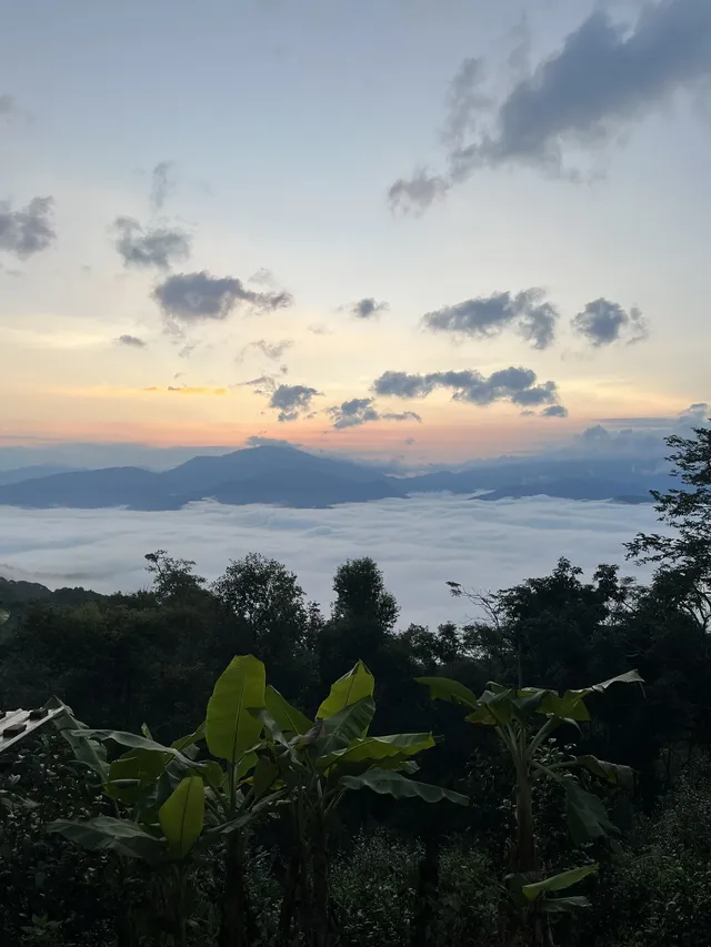 景邁山放空的48小時 景邁山放空的48小時