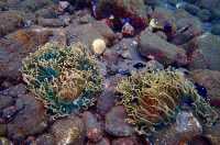 巴厘島,度假天堂