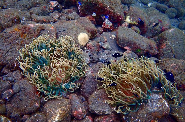 巴厘島,度假天堂 巴厘島,度假天堂