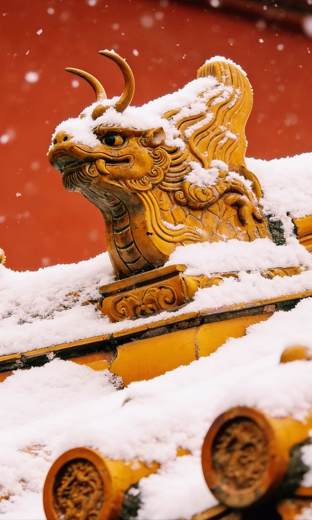 北京初雪故宮千年限定雪景!不要錯過 北京初雪故宮千年限定雪景!不要錯過