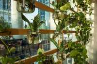 迪拜市中心輕奢酒店探秘