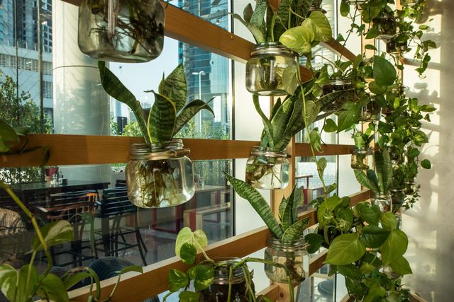 迪拜市中心輕奢酒店探秘