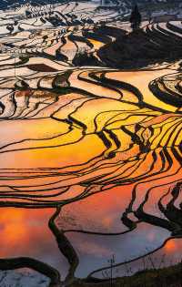 最險梯田星軌拍攝攻略