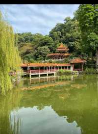 深圳仙湖植物園|遛娃寶藏地打卡賞花絕佳去處