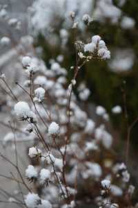 冬日的童話世界