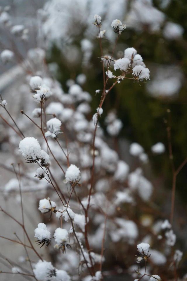 冬日的童話世界 冬日的童話世界