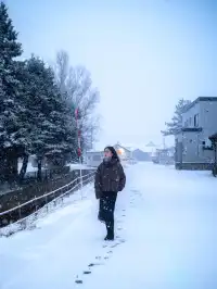 青春的友誼,像北海道的四季 漫長而分明