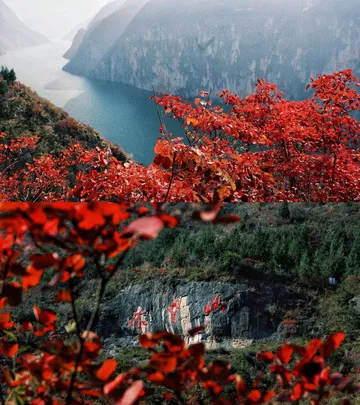 隱山𝟙𝟡|三峽之巔,煙光凝而暮山紫 隱山𝟙𝟡|三峽之巔,煙光凝而暮山紫