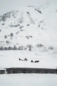 阿達西,今年的禾木我來看了