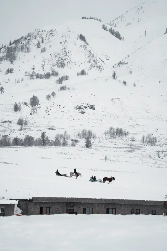 阿達西,今年的禾木我來看了 阿達西,今年的禾木我來看了