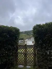 在莫干山見到了頂級的寵物友好