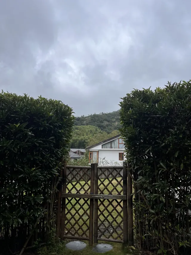 在莫干山見到了頂級的寵物友好 在莫干山見到了頂級的寵物友好