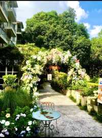 藏在深圳華僑城的慢生活天堂拍照打卡聖地!