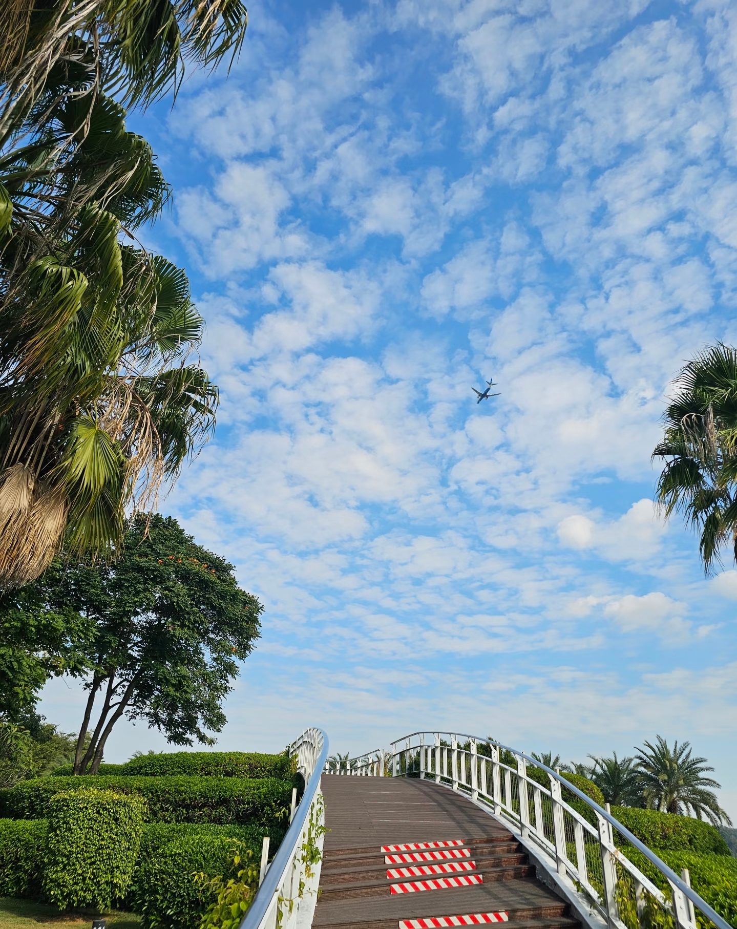  Xiamen Haicang Bay Park Healing Journey 🌊 Feel the sea breeze and unlock urban romance

The happiness in Xiamen is brought by Haicang Bay Park! 🌴 Stay at Jinjiang Inn Plus Xiamen North Station Jimei Academic Village Hotel, just a half-hour drive to this coastal hidden gem. Watch the sea, chase planes, stroll in the park—this leisurely guide is a must-save 👇

🏨【Hotel Experience · Super Convenient Travel】

✅ Excellent location 📍: The hotel is very close to Xiamen North Station, only a 30-minute taxi ride to Haicang Bay Park. After visiting the seaside, returning to the hotel is super easy, no hassle~
✅ Super comfortable rooms 🛏️: Simple and modern decor, great natural lighting, soft bedding, and separate wet and dry bathroom areas. After coming back from the sea, a hot shower instantly washes away fatigue~
✅ Thoughtful service 💁: The front desk offers travel route suggestions. The self-service breakfast is very rich, including Minnan porridge, freshly baked bread, and hot drinks, fully energizing you for the seaside trip~

📸【Travel Photography Tips · Haicang Bay Photo Secrets】

❶ Shooting spots: Palm tree walkway for fresh vacation vibes, near the cross-sea bridge for city sea views, beach and reef area for fun tide-pooling scenes. Look up to catch low-flying planes for layered shots.
❷ Outfit suggestions: Wear light-colored dresses or casual wear, paired with straw hats and sunglasses, perfectly matching the blue sky and sea. Every snap looks like a masterpiece.
❸ Experience: Walk along the coastline, feel the sea breeze and listen to the waves, watch locals tide-pooling and shell digging, immersing yourself in the authentic life of Xiamen~

🍤【Nearby Food & Fun · Deliciousness Never Closes】

After leaving Haicang Bay Park, head to A Luo Hai City Plaza for food! Satay barbecue, earthworm jelly, oyster omelet—eat to your heart’s content for about 30 RMB per person. It’s also a short drive from the hotel, a foodie’s delight~

Staying at Jinjiang Inn Plus Xiamen North Station Jimei Academic Village Hotel lets you enjoy comfortable accommodation and easily check in at the healing beauty of Haicang Bay Park. This Xiamen trip is just too relaxing~

 
