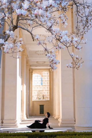 상하이 전시관에는 목련나무가 두 그루만 피었는데, 정말 인산인해였어요