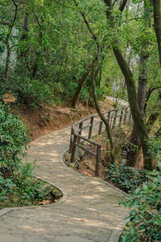 厦門島内の軽いハイキング｜親子に優しい宝物ルート
