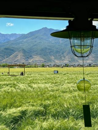 Nine trips around Erhai Lake revealed 11 hidden gems and must-see spots.