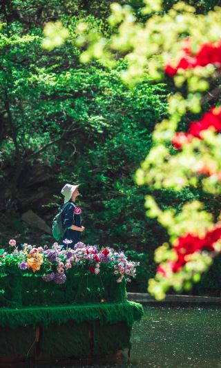 Xi'an Surroundings｜Spring at Shaohua Mountain is already next level