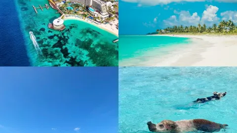 Listen up! Don’t join a group tour to the Bahamas pig island. Here’s some honest advice — traveler post in Exuma