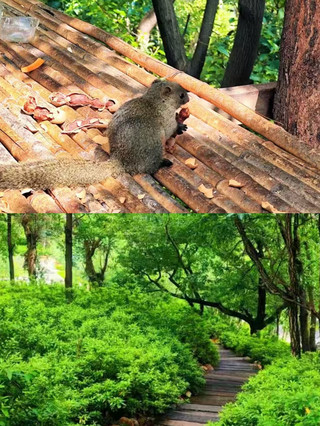 ฉวี่จิ้งในเดือนสิงหาคม สวยจนต้องร้องขอชีวิตจริงๆ..