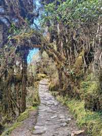 Unforgettable Inca Adventure with Exceptional Team