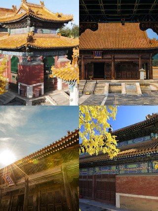 Day 21°C, night 10°C | 3 days, 2 nights in Baoding: A slow-paced autumn family getaway in Yanzhao