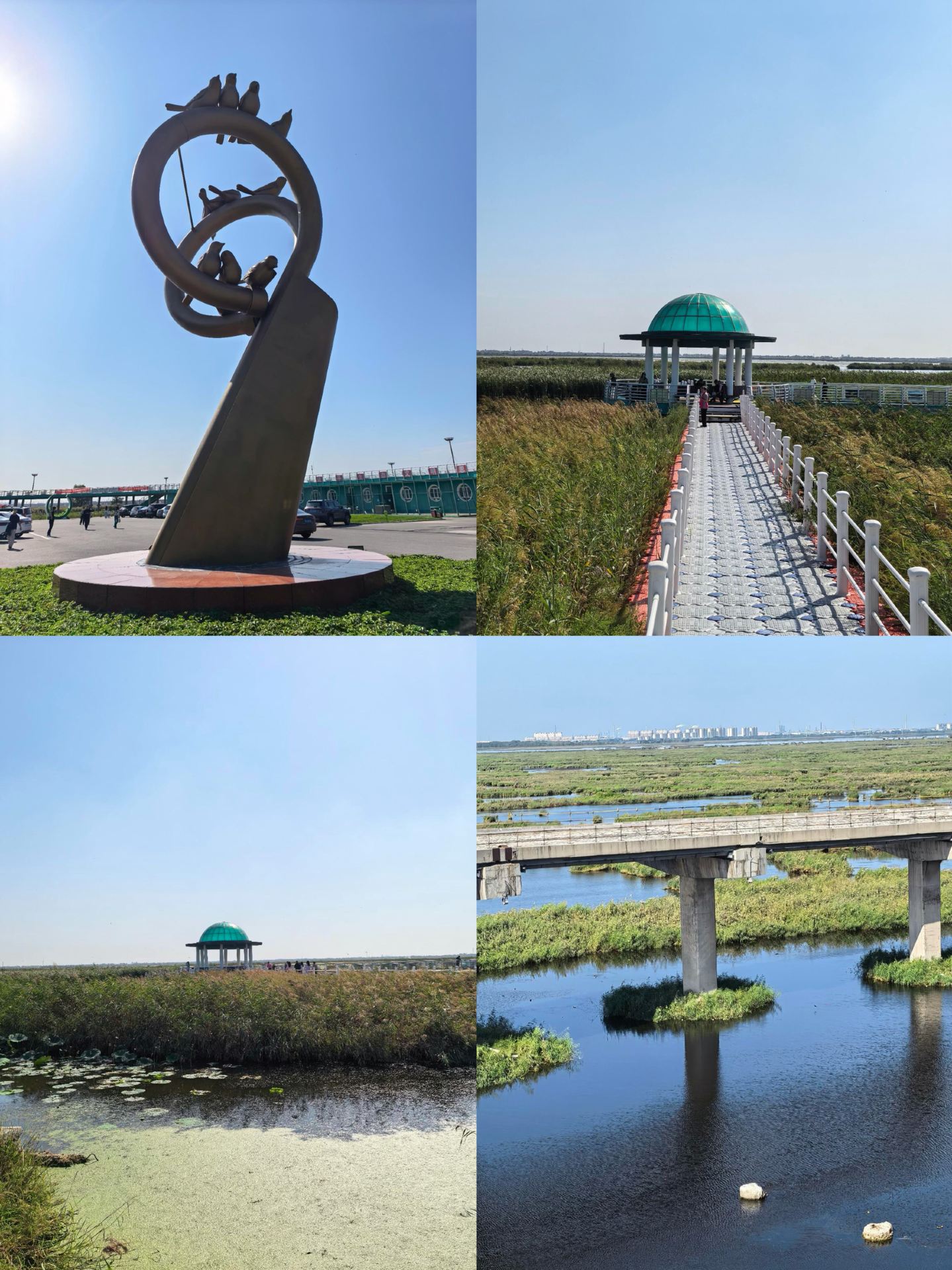 Back from Daqing, and honestly, I really don't recommend going in September or October because it's just...