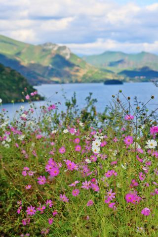 走婚秘境 藏在群山裡的碧藍湖泊｜雲南瀘沽湖攻略