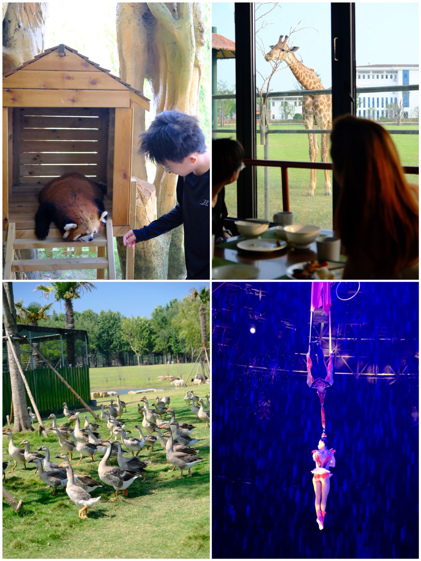 A hidden gem for family vacations! Sendi's immersive animal experience is so worth it