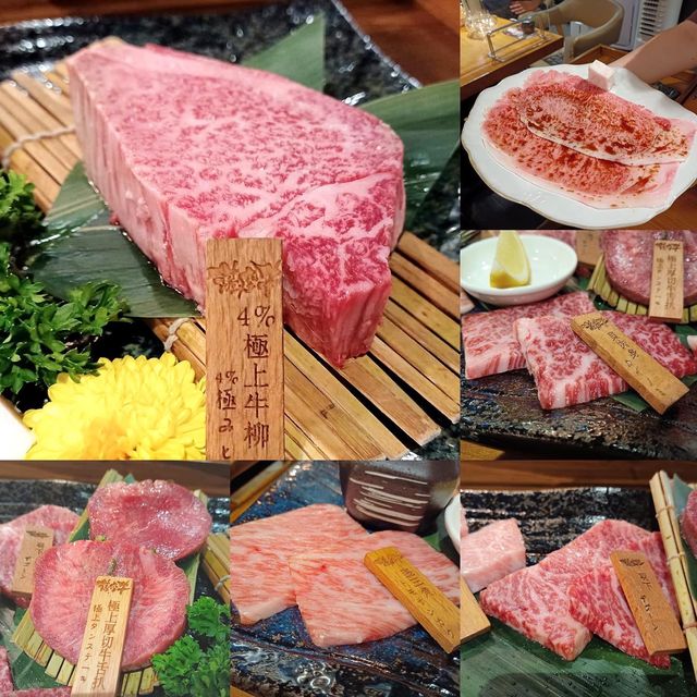 【尖沙咀】鹿兒島直送頂級薩摩牛盛宴