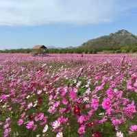 น้องบุญทิ้งนนท์ศิลาฟาร์ม 