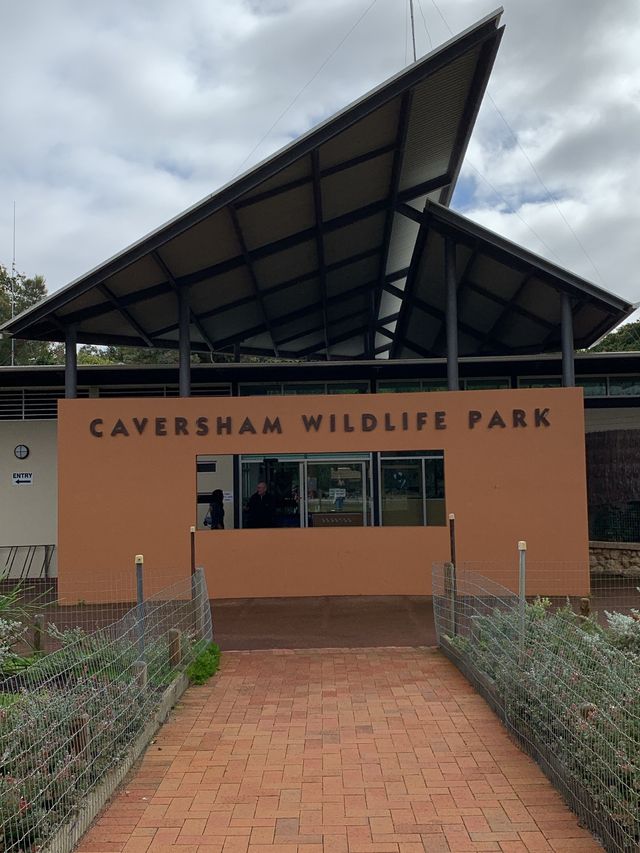 Day trip to Caversham Park, Perth