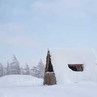 눈꽃세상❄️ 대관령 양떼목장