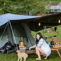 "From City Life to Mountain Retreat: Unpluggi