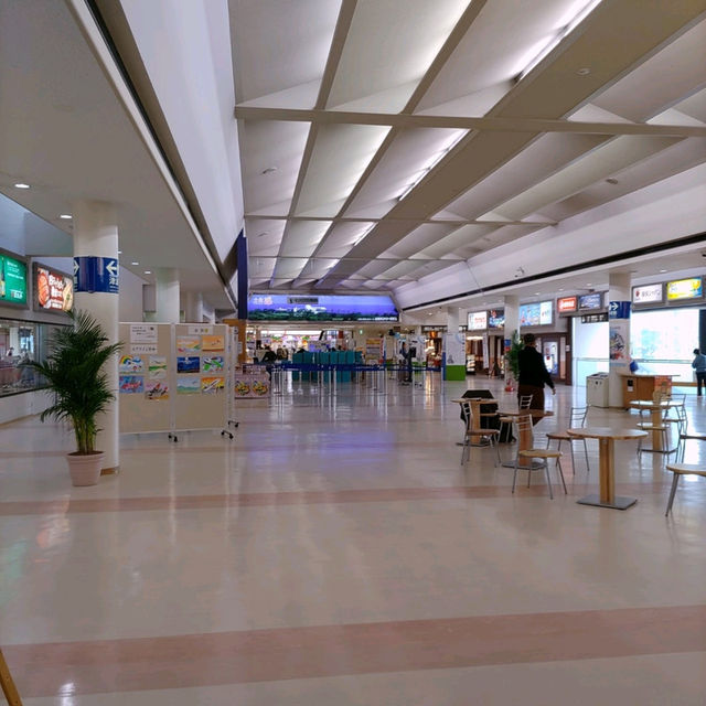 高知空港は郷土愛に溢れている！坂本龍馬もよさこいもアンパンマンもぼうしパンも！