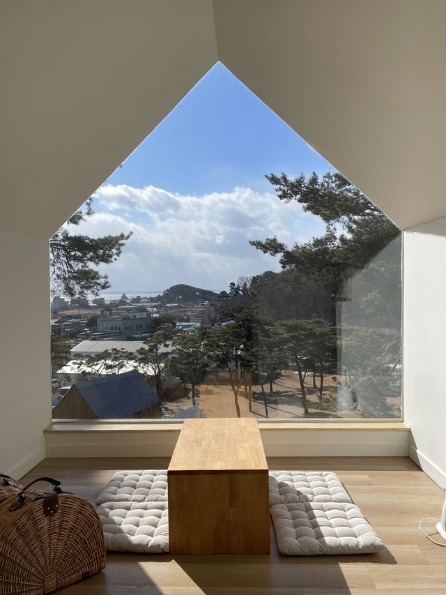 강아지와 함께 캠프닉을 “오솔길 제부“