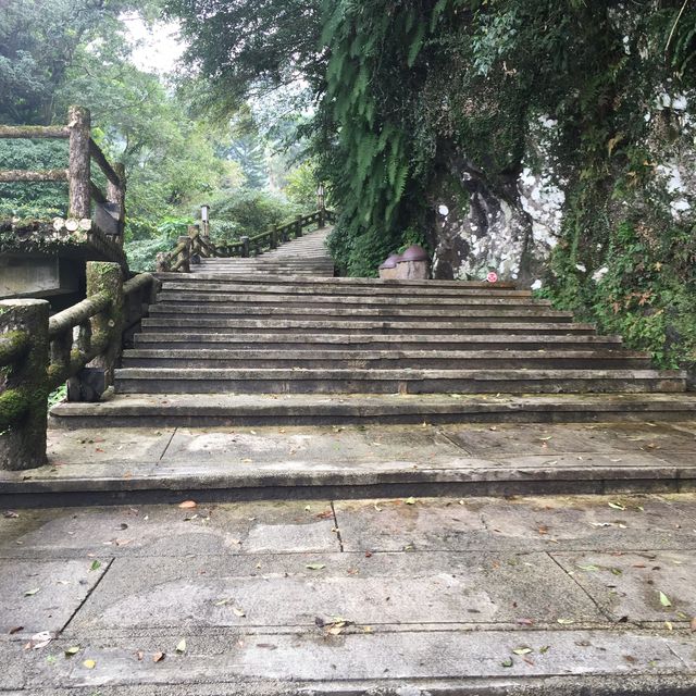 雲仙樂園🤫烏來美景盡收‼️山水相連☺️