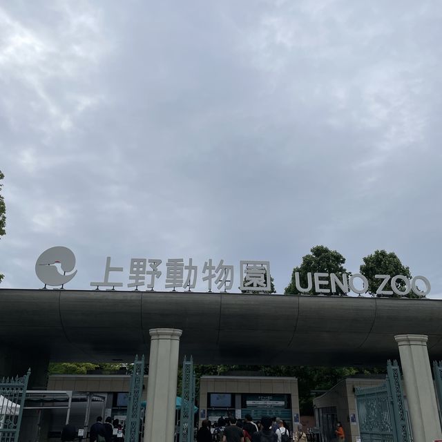 약 400여종의 동물들이 있는 우에노 동물원🐼