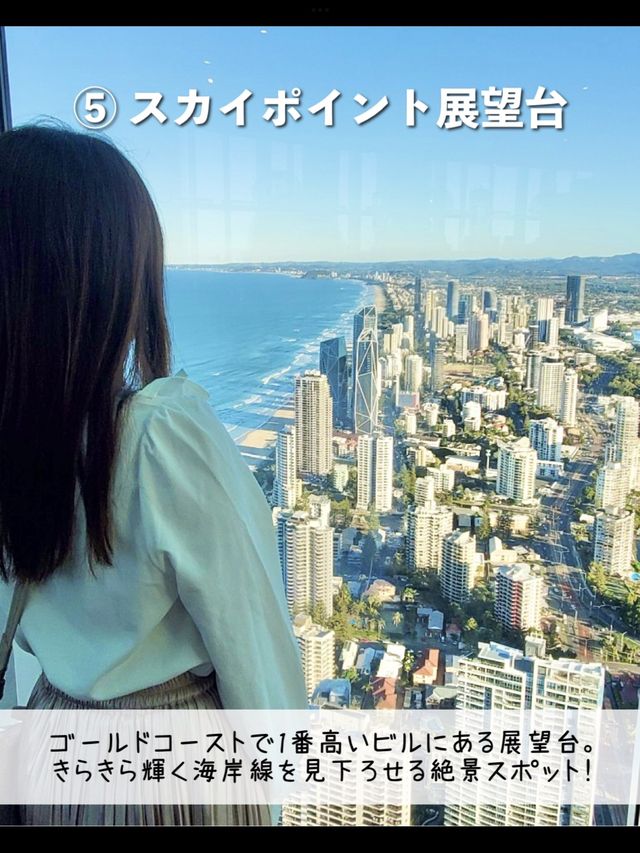 ゴールドコーストで行ってよかった観光スポット7選🇦🇺オーストラリア
