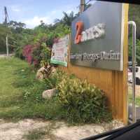 A Stunning 2 acres cafe in Balik Pulau!