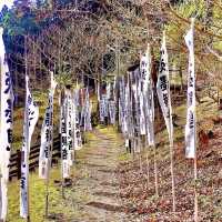 根尾淡墨桜
