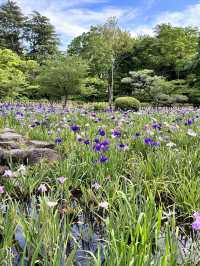 鶴舞公園