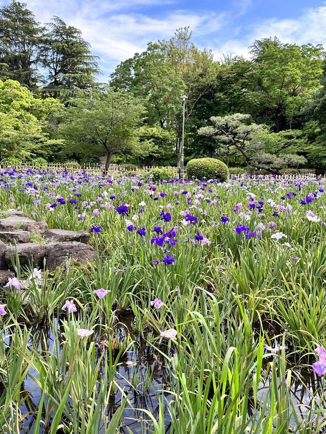 鶴舞公園