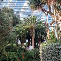 The Flower Dome @ Gardens By The Bay