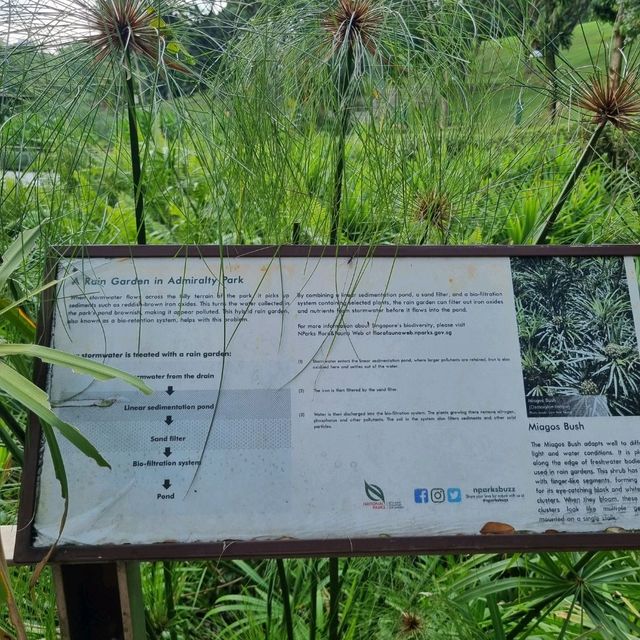 Relax with Nature At Admiralty Park