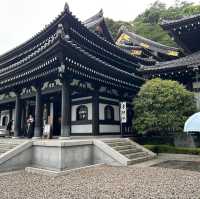 【 神奈川 / 鎌倉 】一回では見切れないほどの花の寺🌸