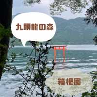 箱根九頭龍の森 