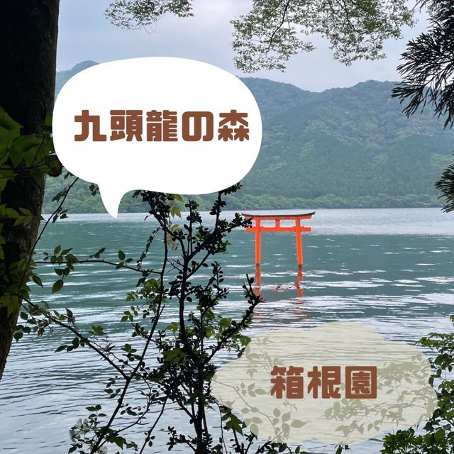 箱根九頭龍の森 