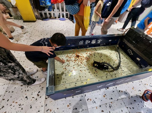 Lollypet萌寵樂園： 與動物零距離的夢幻體驗
