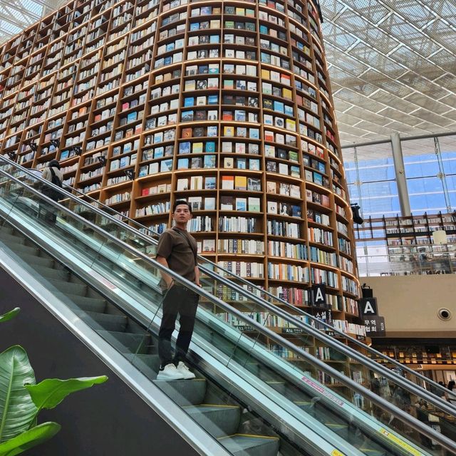 Beautiful Public Library